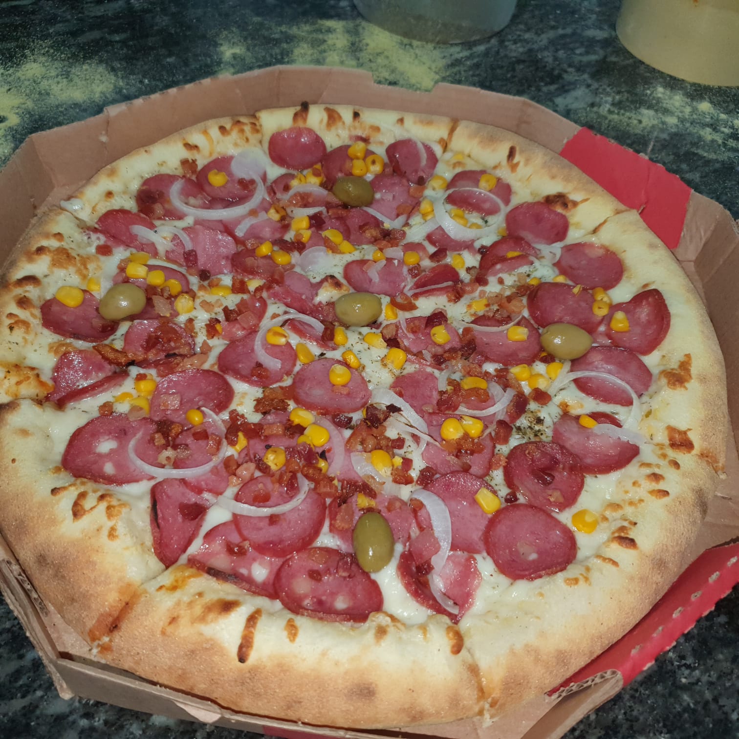 Pizza Salgada M (Media)